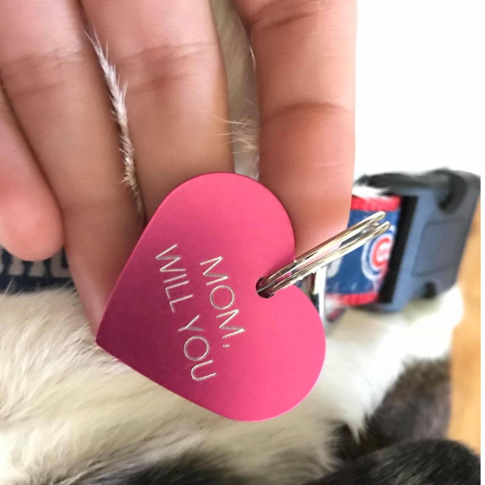 Elsie did a great job assisting in the proposal!