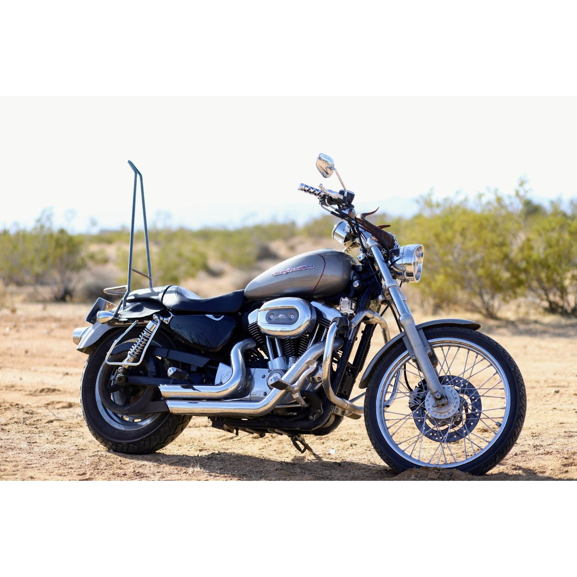 The Wedding Website of LeRoy De LaRosa and Jen Terry