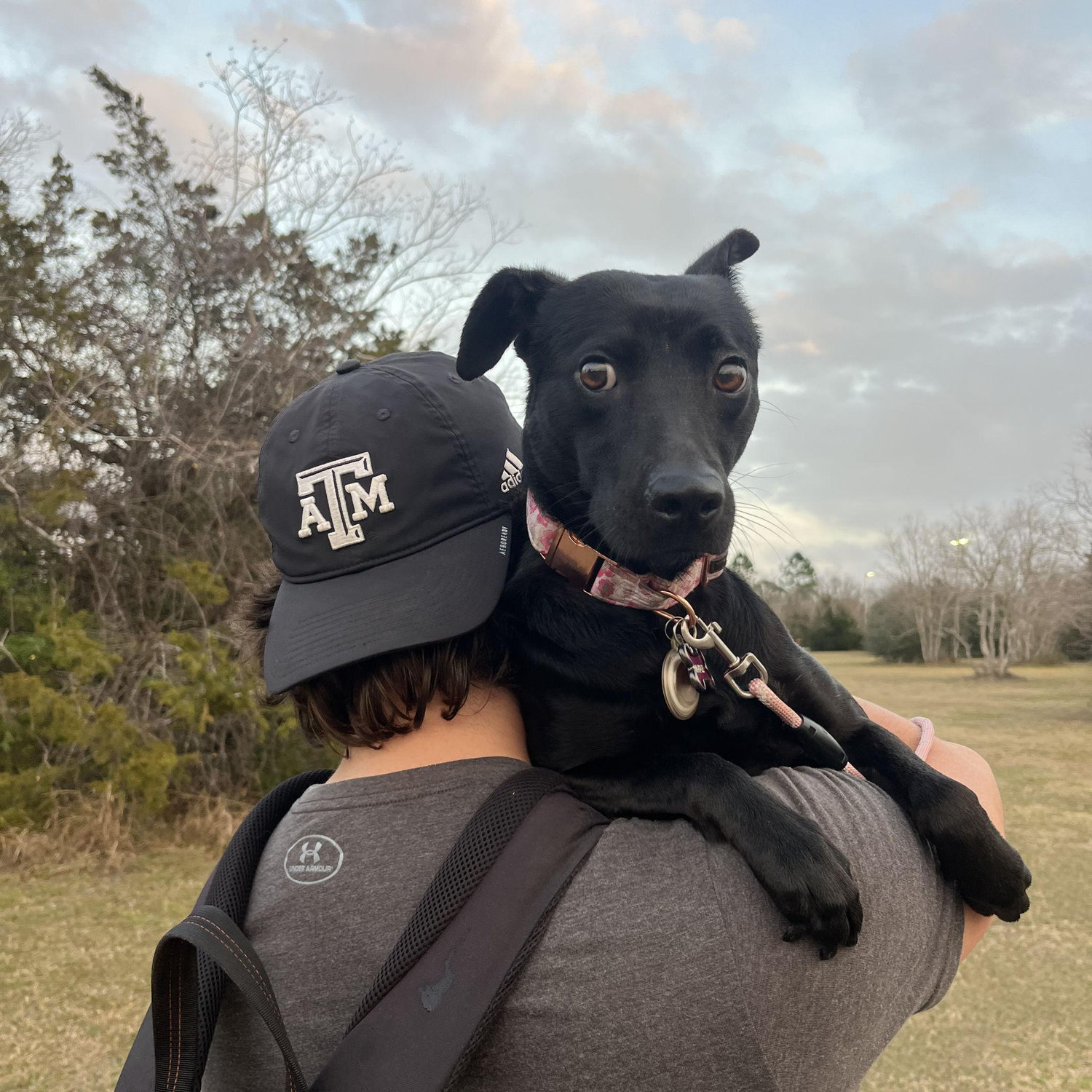 Disc Golf with Maple