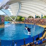 Loro Parque