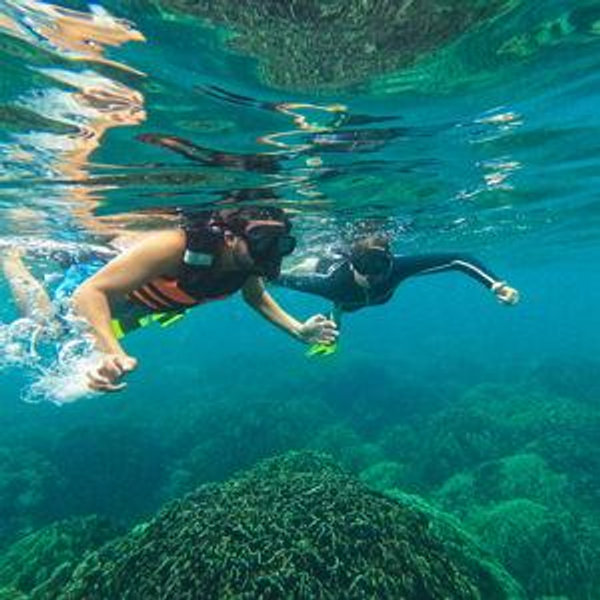 Snorkeling in Máncora, Peru for two