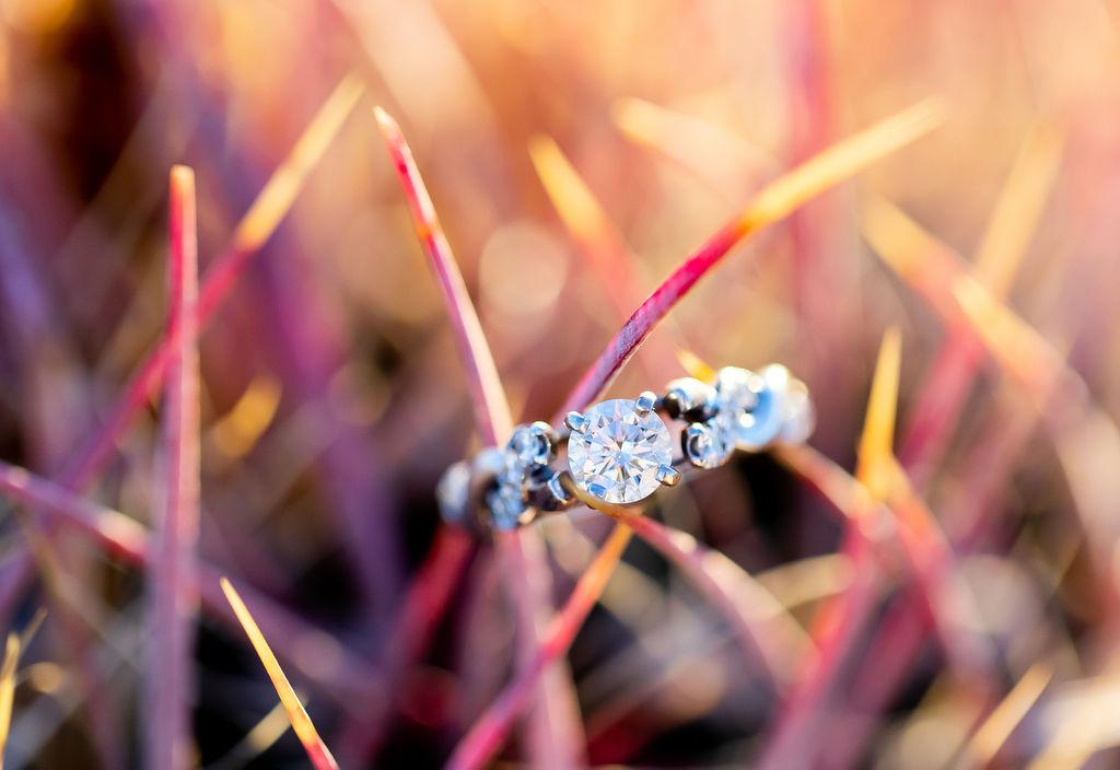 The Wedding Website of Carly Smith and Tyler Thomas