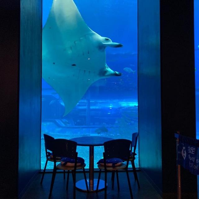 Coffee at the Ocean Blue Cafe in Okinawa
