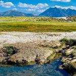 Wild Willy's Hot Spring