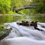 Wissahickon Valley Park