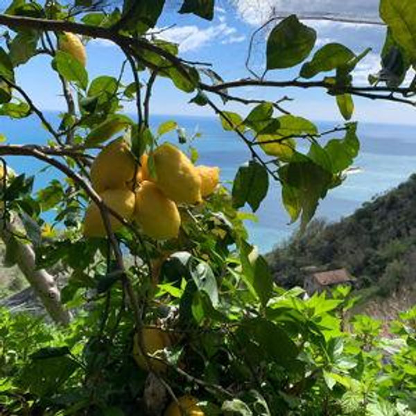 Clase de limoncello en la Costa Amalfitana | Limoncello-Making Class on the Amalfi Coast