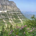 Glacier National Park