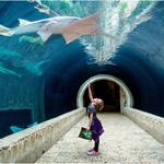 The Dallas World Aquarium