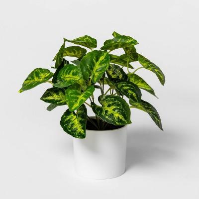 12&#34; x 10&#34; Artificial Arrowhead Arrangement in Pot Green/White - Project 62&#8482;