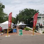 Mount Dora Village Market