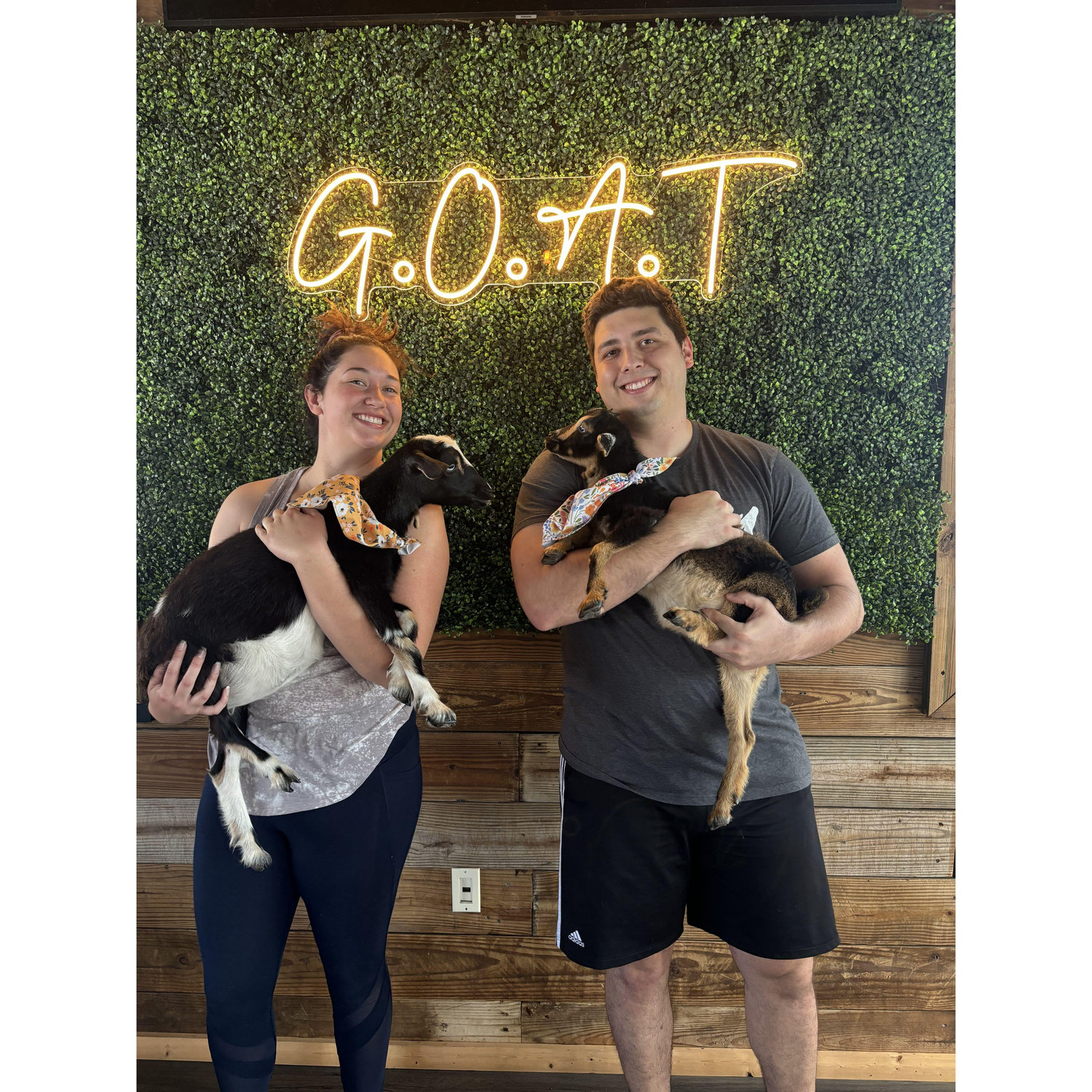 Goat yoga date!