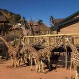Cheyenne Mountain Zoo