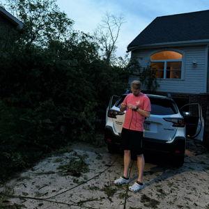 Tree Removal Fund