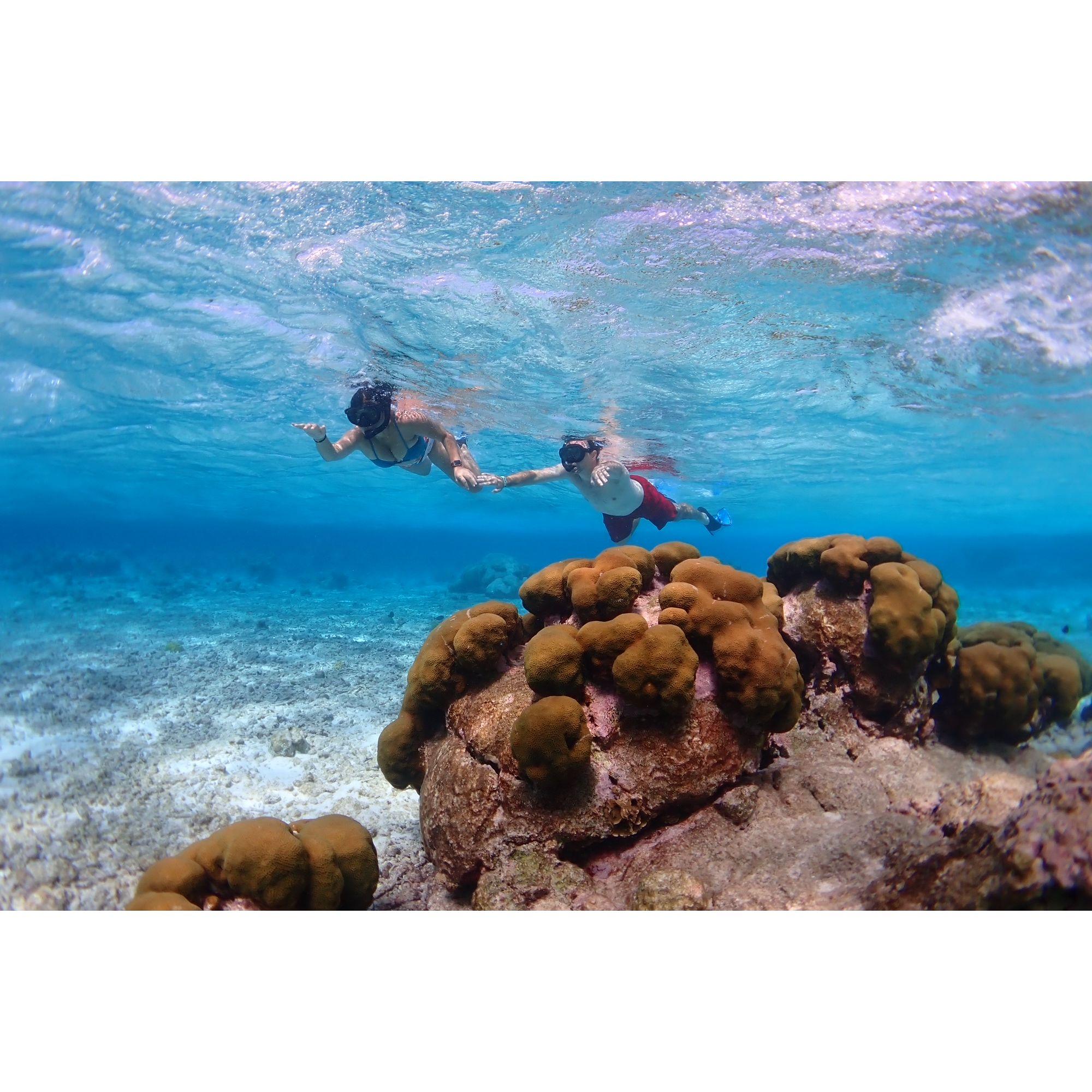 Snorkling in Aruba