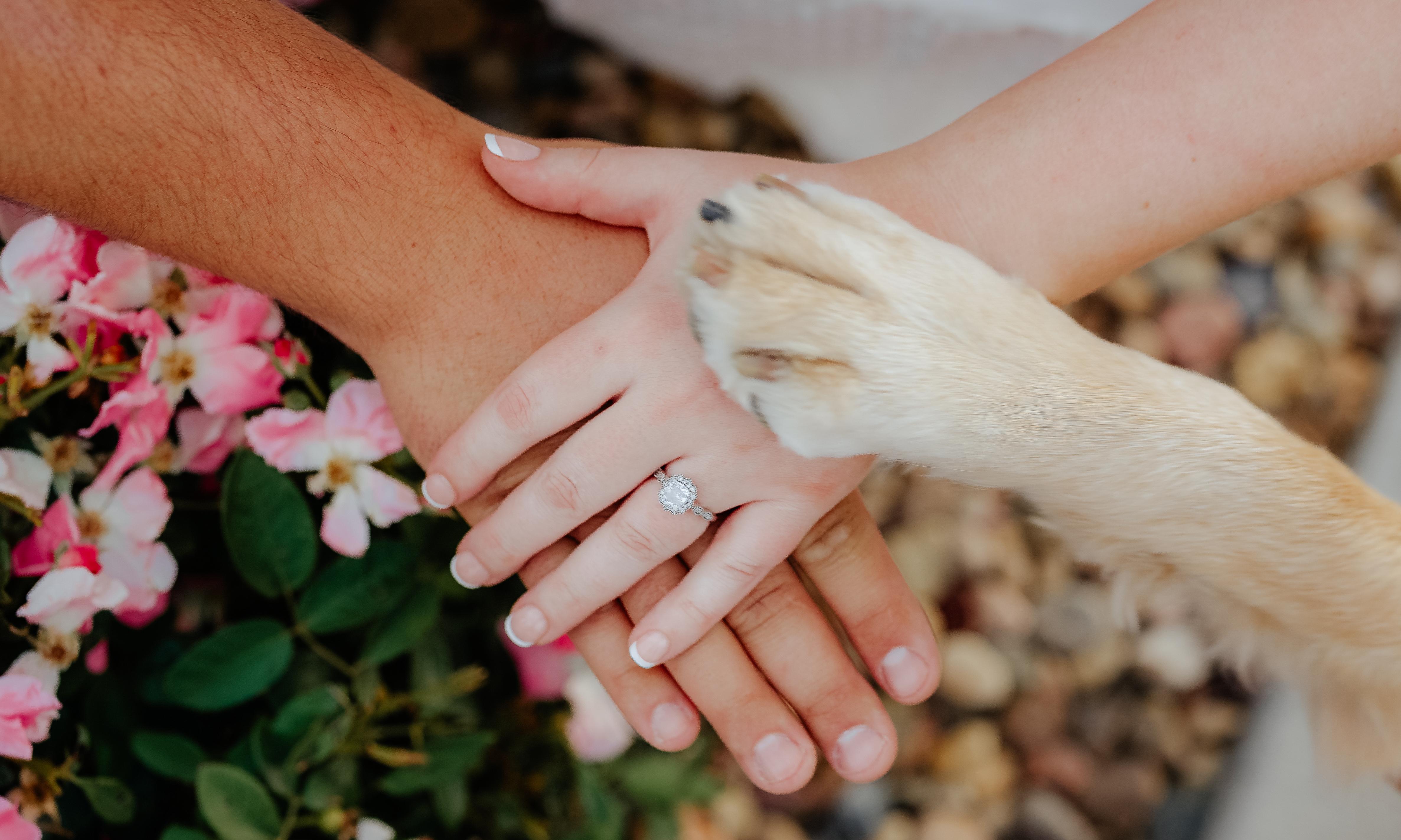 The Wedding Website of Conner Livermore and Melissa Sypniewski