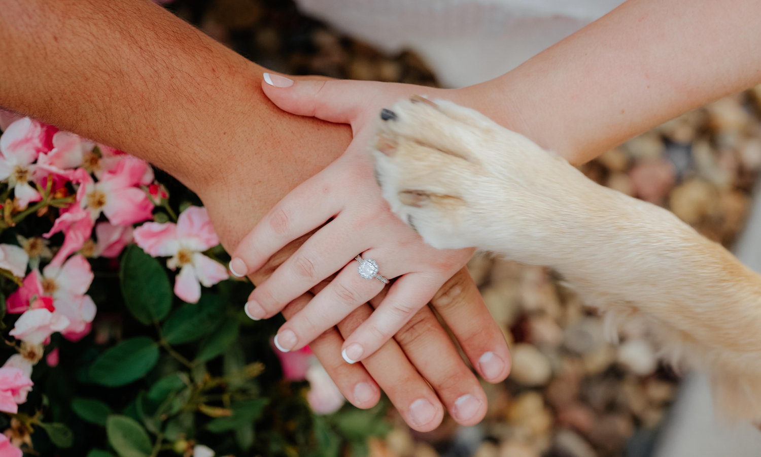 The Wedding Website of Conner Livermore and Melissa Sypniewski