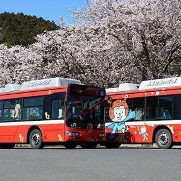 Transportation throughout the city