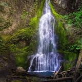Marymere Falls Trail