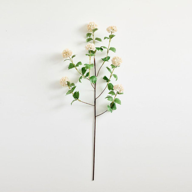 Snowball Branch Cream 48"