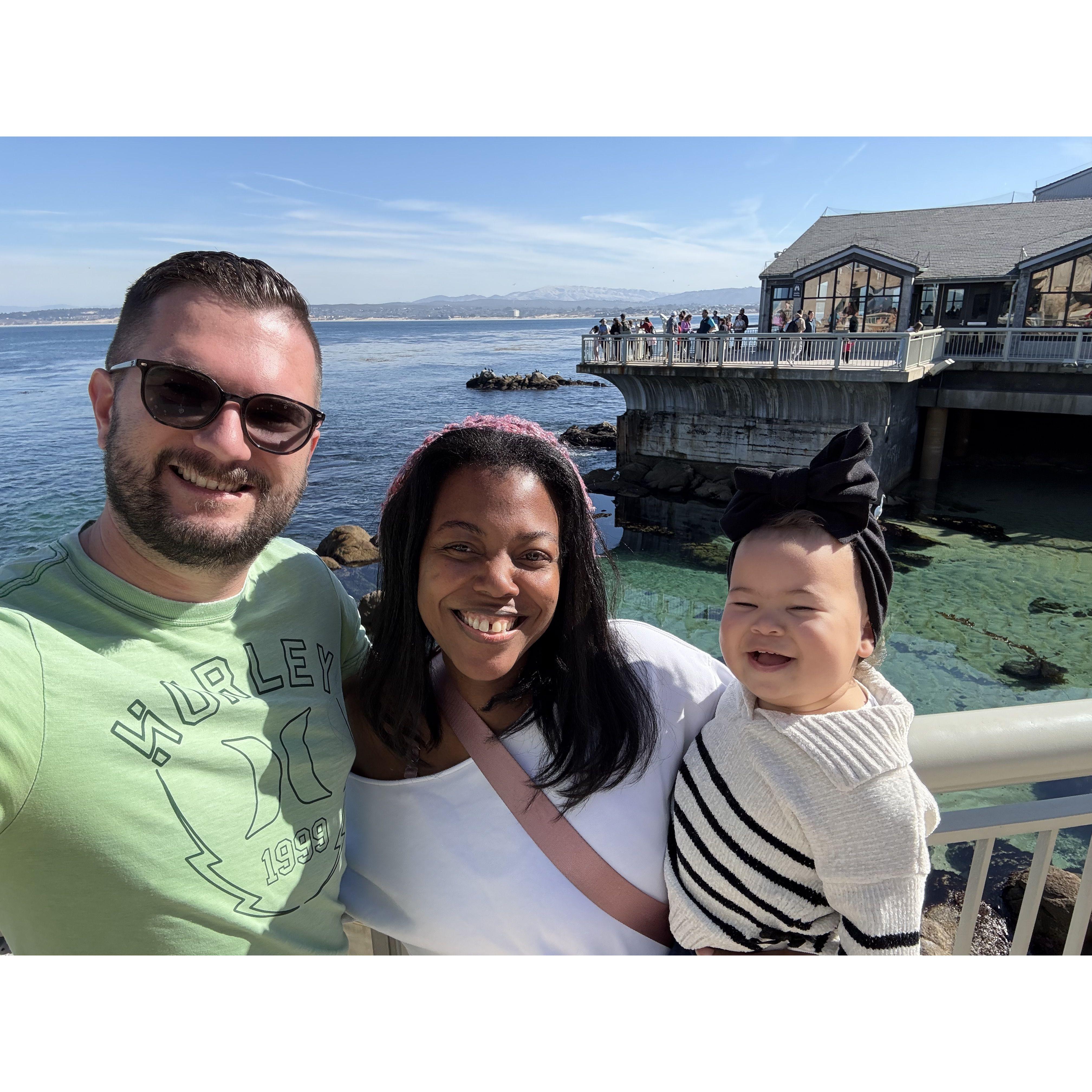 snuggles and aquariums!