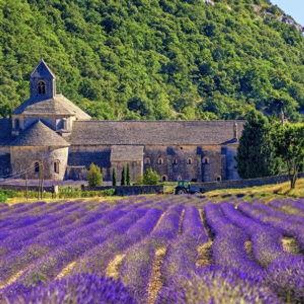 Honeymoon in France