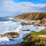 Bodega Bay