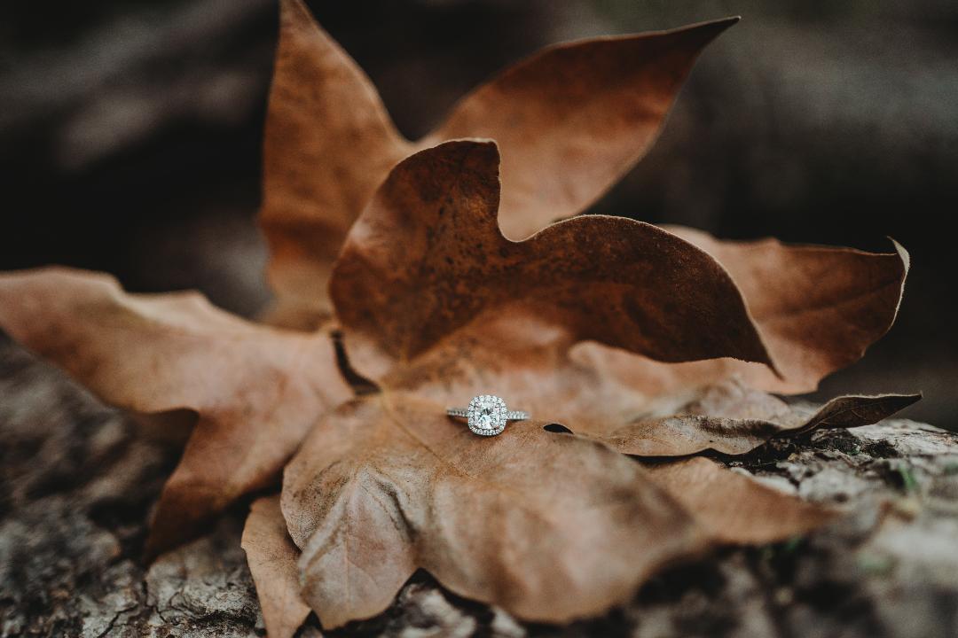 The Wedding Website of Jannette Haynes and Aaron Funderburk