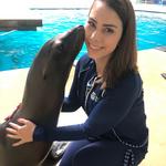 Mystic Aquarium