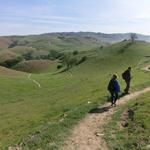 Hikes