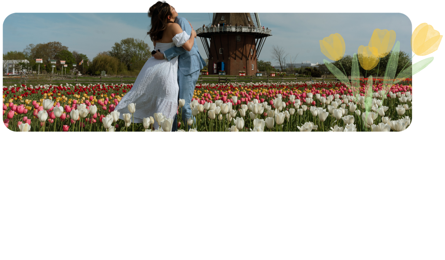 Footer image
