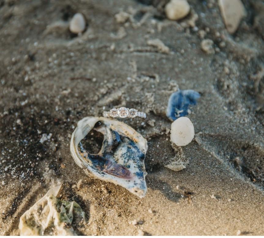 The Wedding Website of Victoria Frucelli and David McCarty