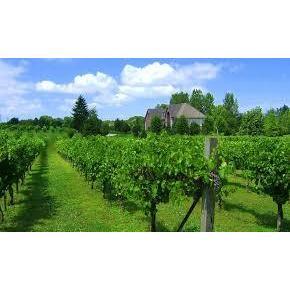 Wineries on and off the islands