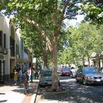 University Avenue