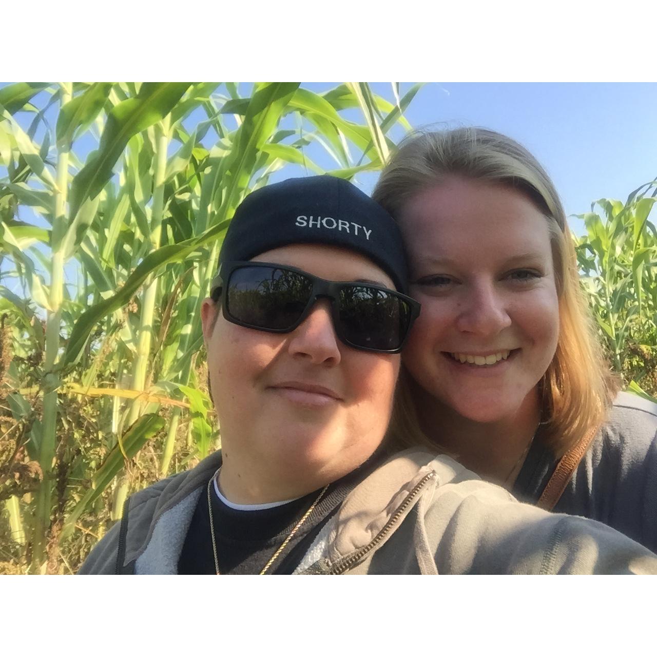 Getting lost in the corn maze