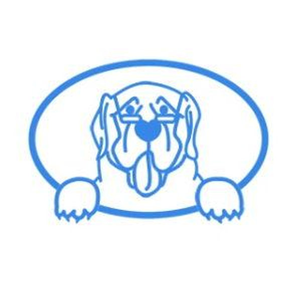 Donation to Grand-Paws Senior Sanctuary