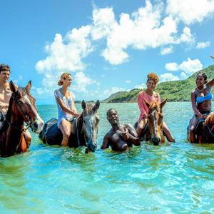 Horseback Riding Excursion - Honeymoon