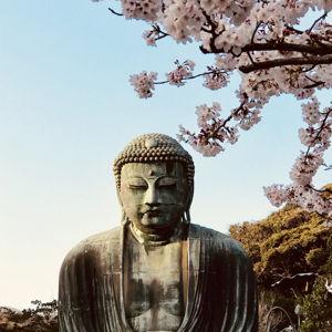 Day trip to Kamakura and Enoshima