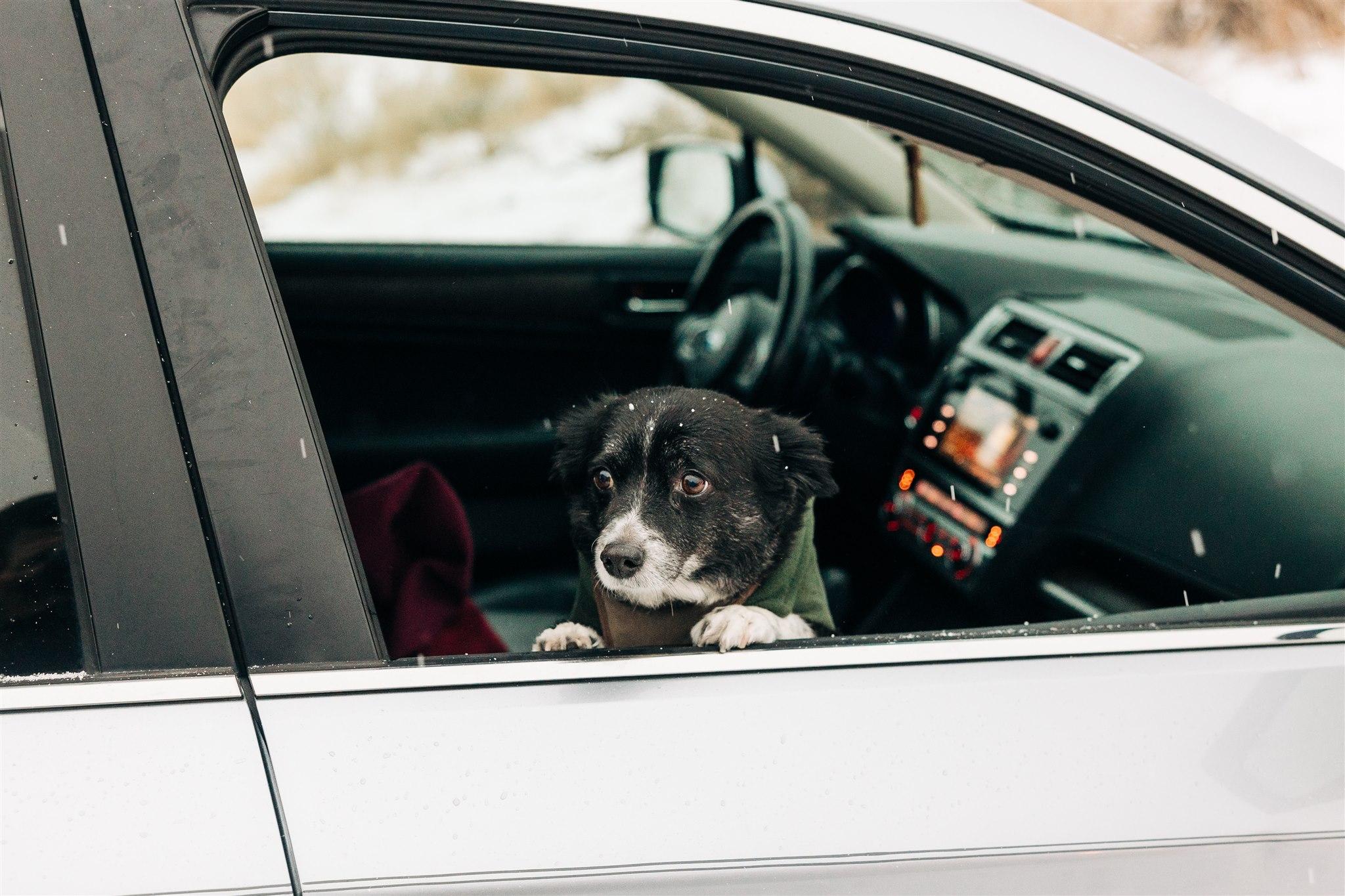 The Wedding Website of Taylor Mallory and Courtney Freese