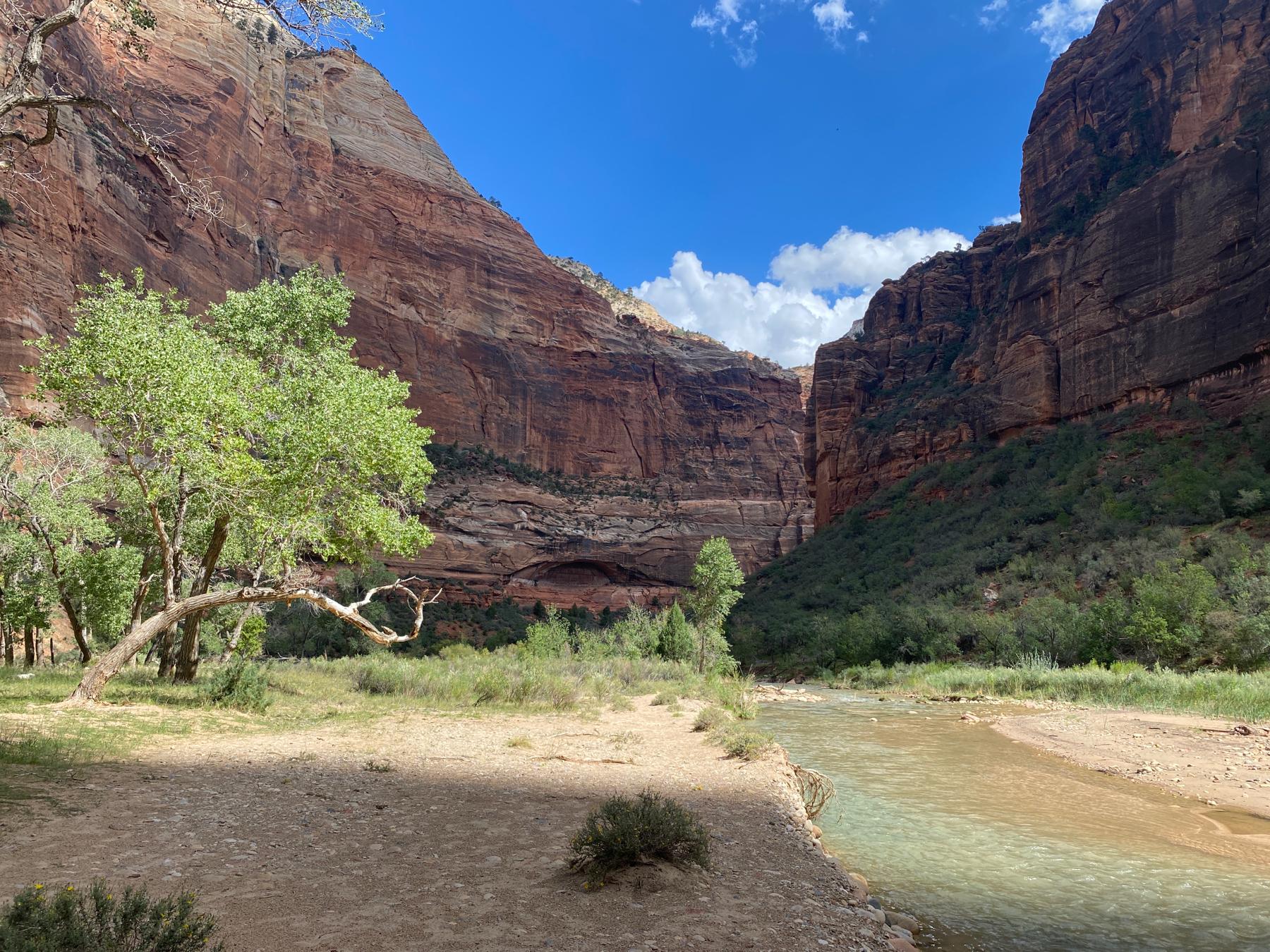 Beautiful view standing at the base of big bend shortly after the proposal.