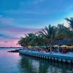 Oleary's Tiki Bar & Grill