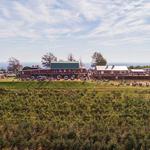 Carter Mountain Orchard and Country Store