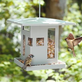 Bird Cafe Feeder