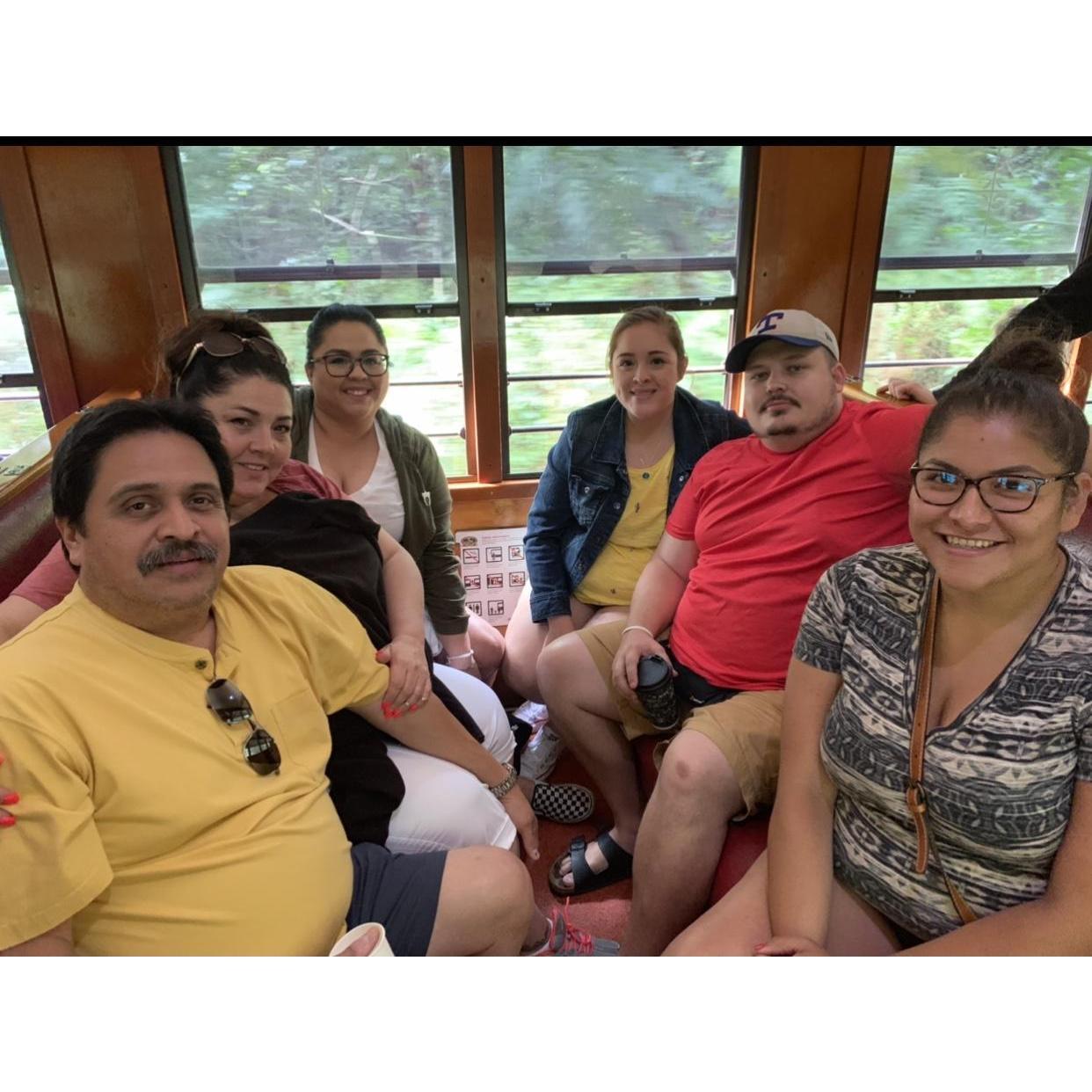 On a train going through the rainforest in Australia