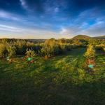 Warwick Valley Winery & Distillery