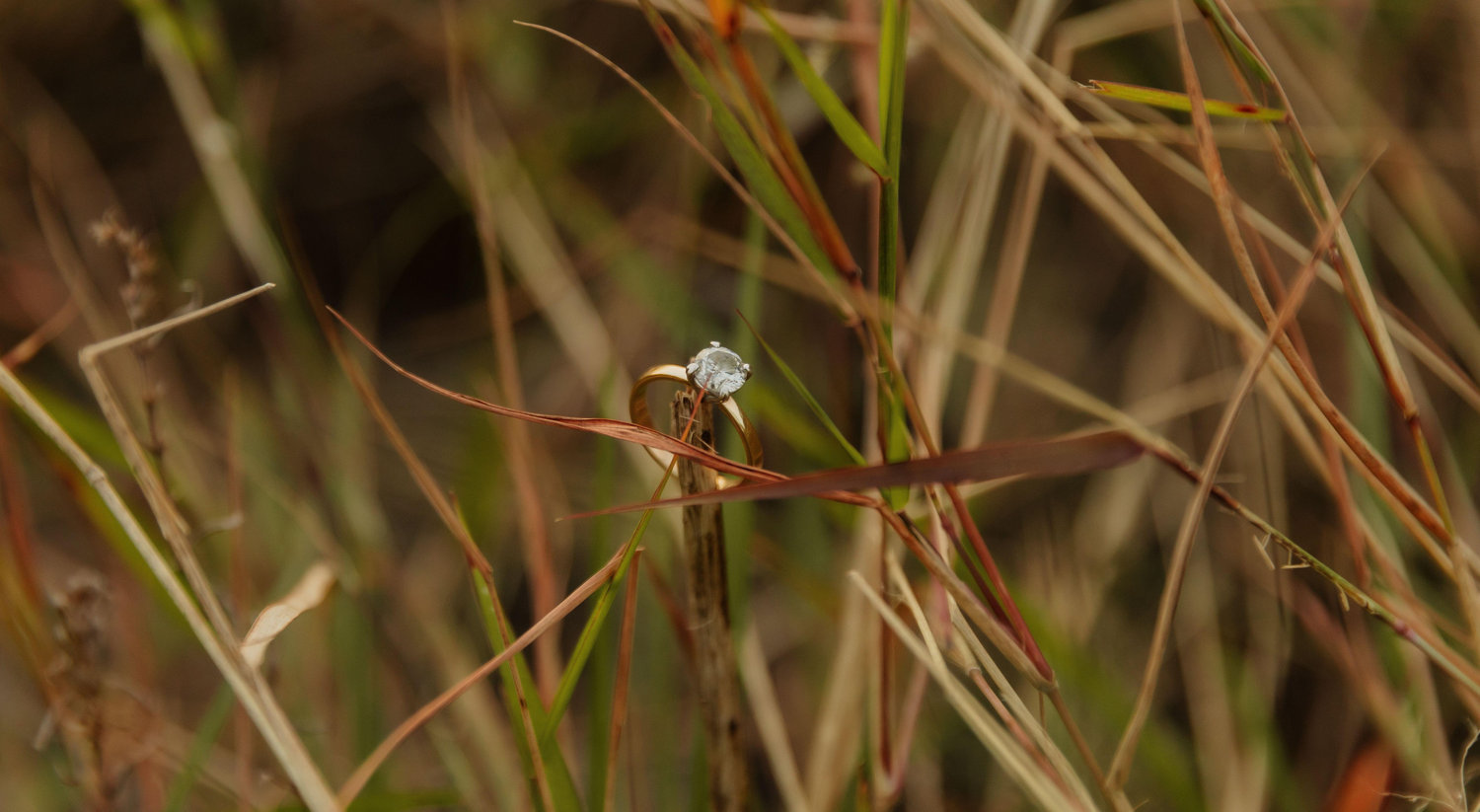 The Wedding Website of Kaely Adkins and Sean McElerney