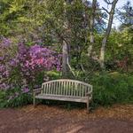 Sayen House and Gardens
