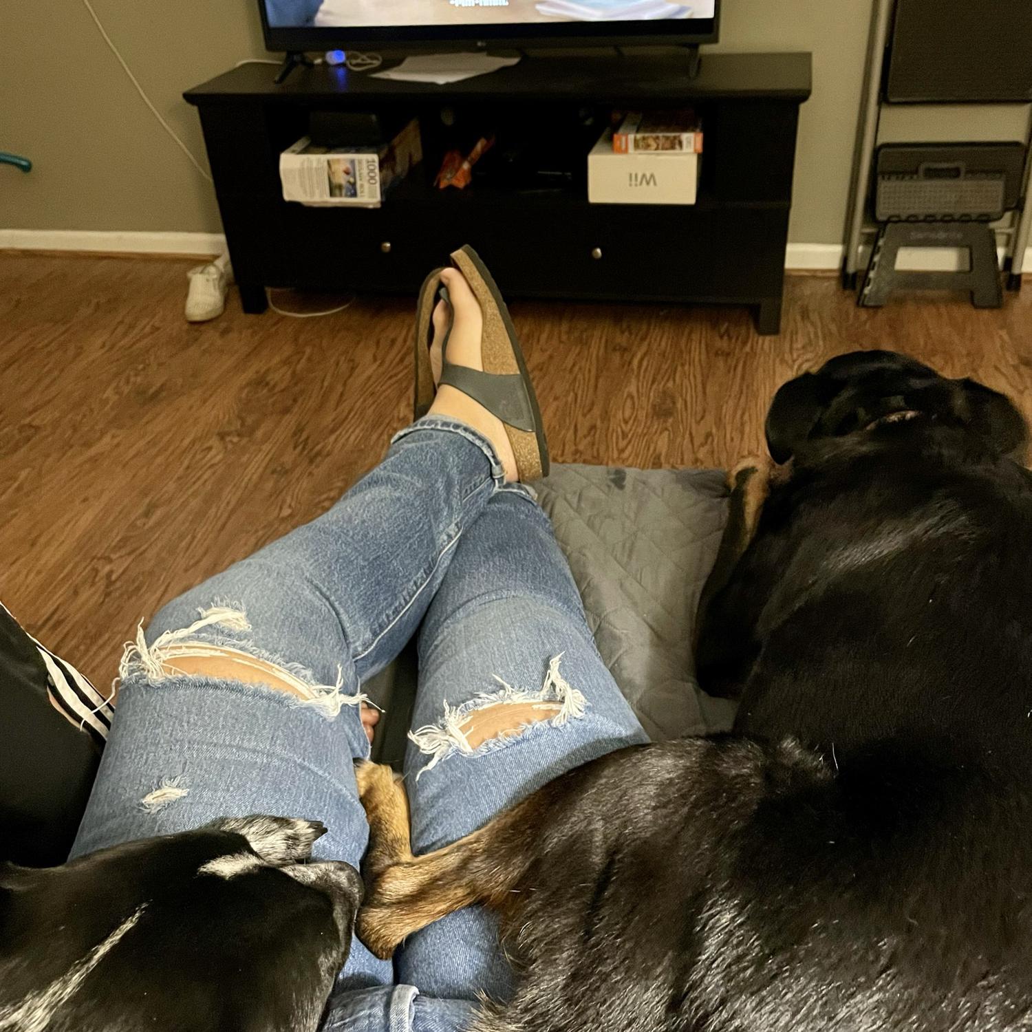 And Alex has even let them start cuddling her on the couch