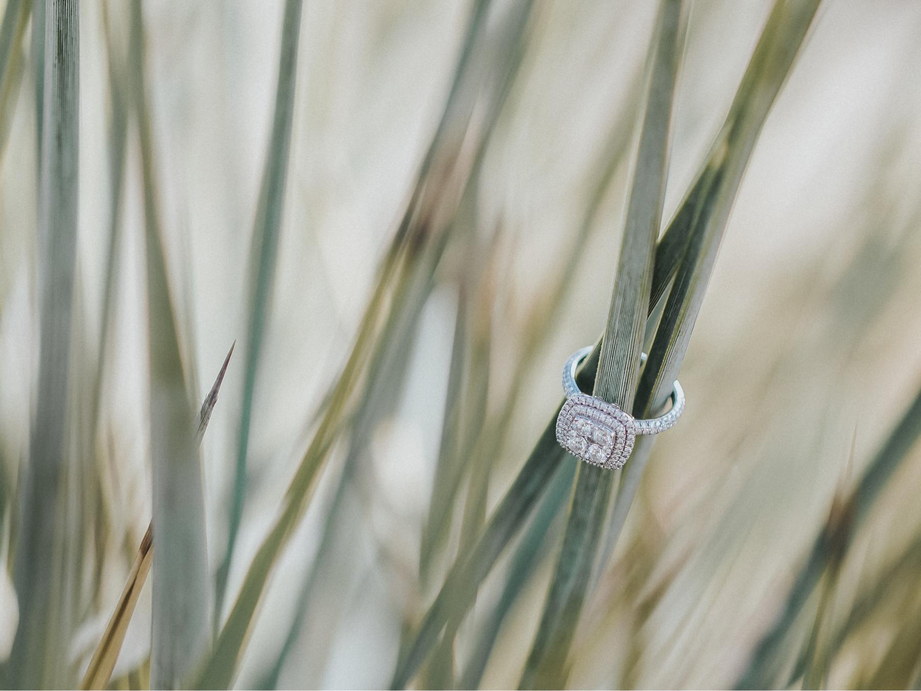 The Wedding Website of Jacob Warken and Diana Tovar