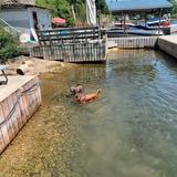 Visit the tiki bar at Hudson's Point