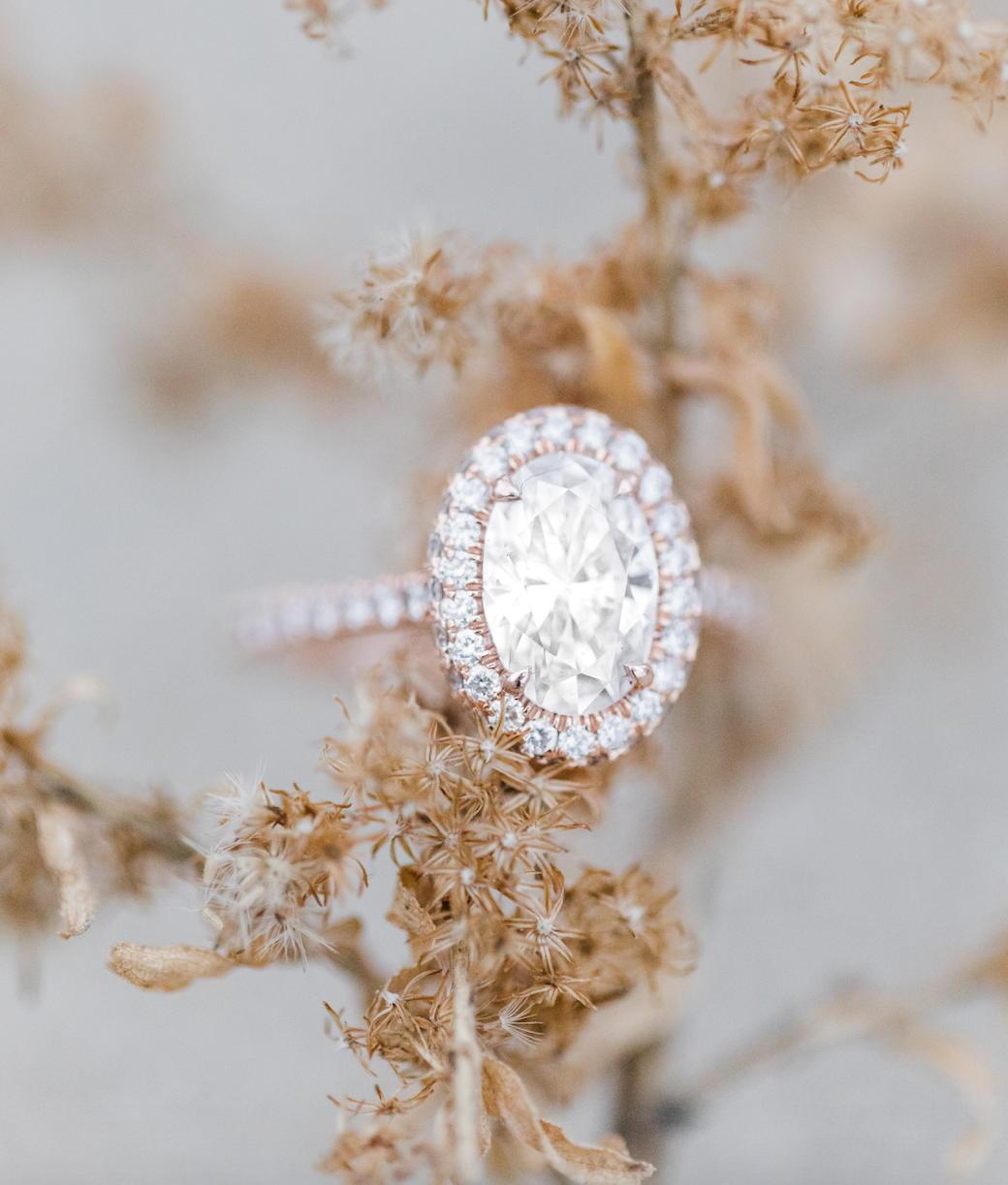 The Wedding Website of Brittany Mote and Steve Caldarola